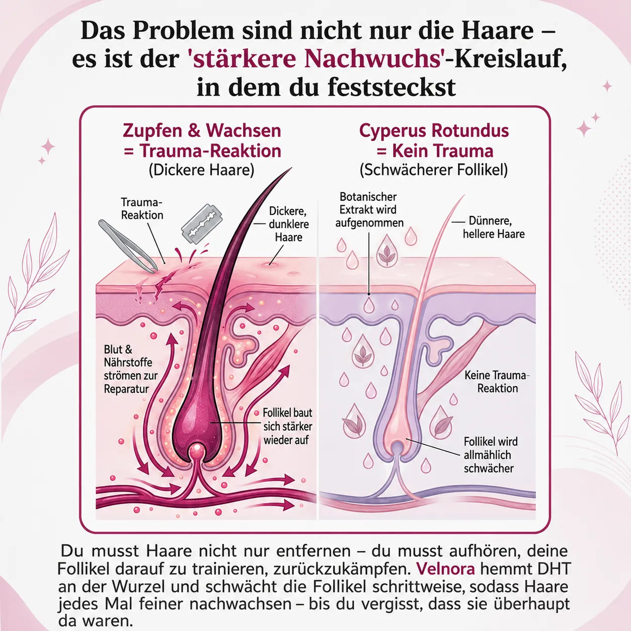 Cyperus Rotundus - Natürliche Haarentfernung